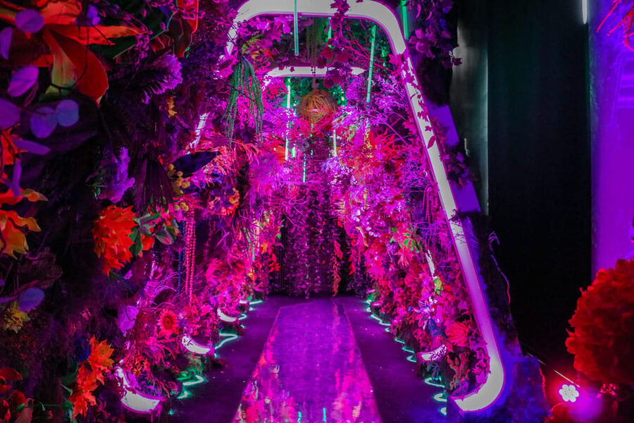 NYC: INTER Immersive Adventure Admission Ticket - Best For: Families, Photo Moments, and Curious Kids