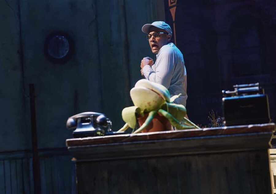 NYC: Little Shop of Horrors Off-Broadway Ticket - Who This Off-Broadway Ticket Is Best For