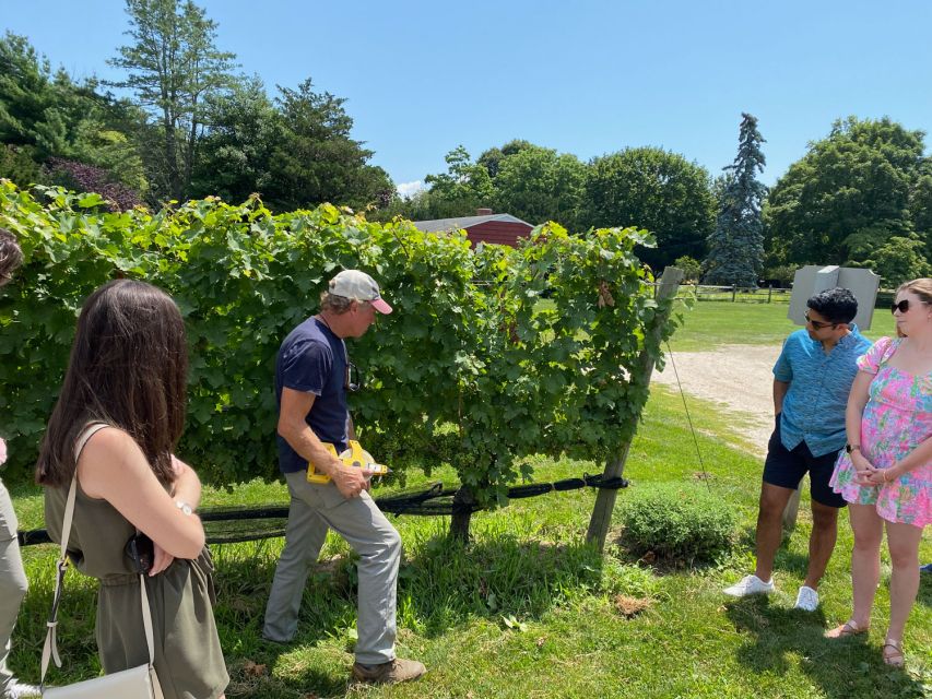 NYC: Long Island Sommelier-Guided Wine Tasting Tour - First Winery Tasting: Private Session Plus Pairing Bites