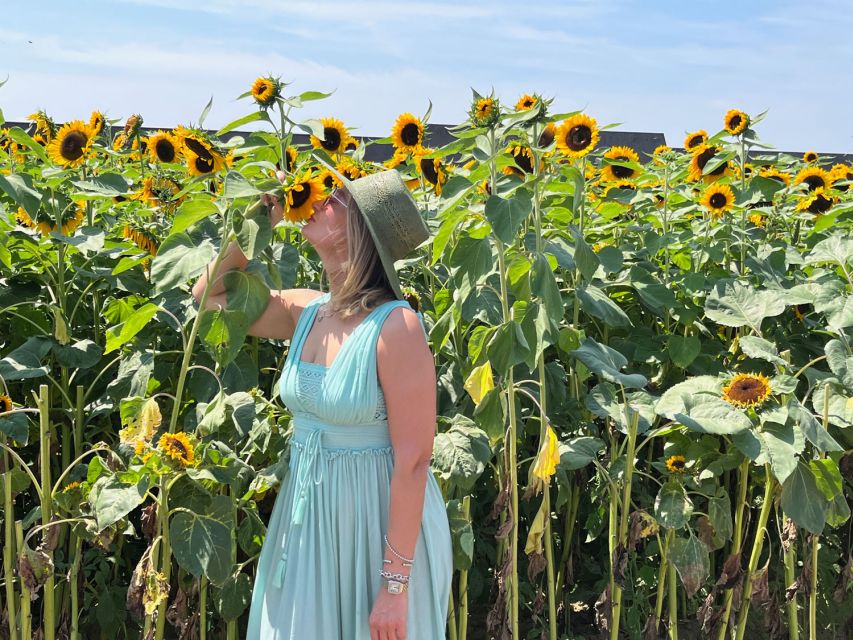 NYC: Long Island Sommelier-Guided Wine Tasting Tour - Second Winery Tasting: Winemakers, Vineyards, and Another 105 Minutes