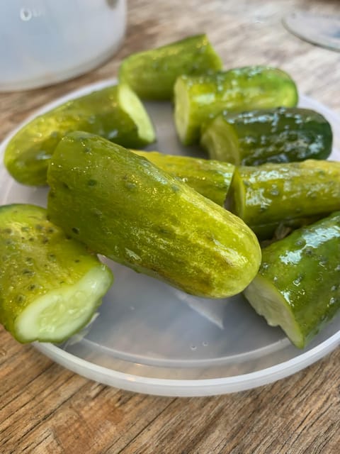 NYC: Lower East Side Walking and Food Tasting Tour - Vanessa’s Dumpling House: a comfort-food reset in the middle