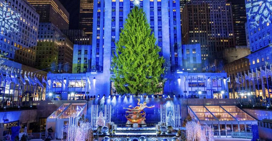 NYC: Magical Christmas Lights Carriage Ride - Key Points at a Glance