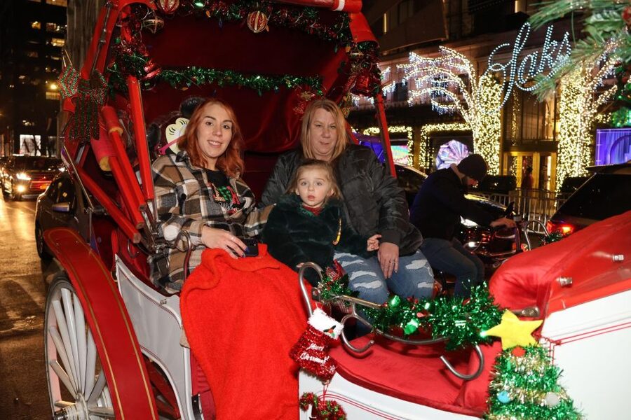 NYC: Magical Christmas Lights Carriage Ride - Value Math: $415 Per Group Up to 4 Adults