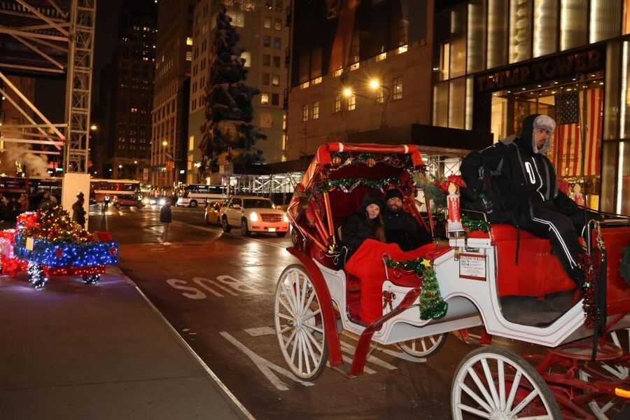 NYC: Magical Christmas Lights Carriage Ride - Rockefeller Center Christmas Lights, Tree Views, and Photo Stops