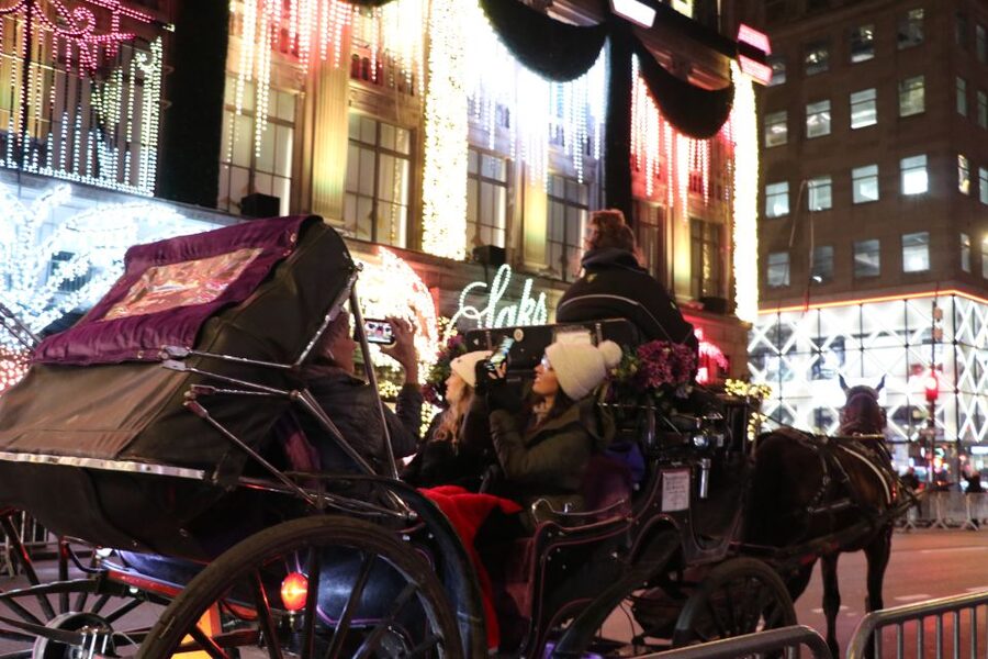 NYC: Magical Christmas Lights Carriage Ride - Saks Fifth Avenue Light Show, Fairy-Tale Window Energy