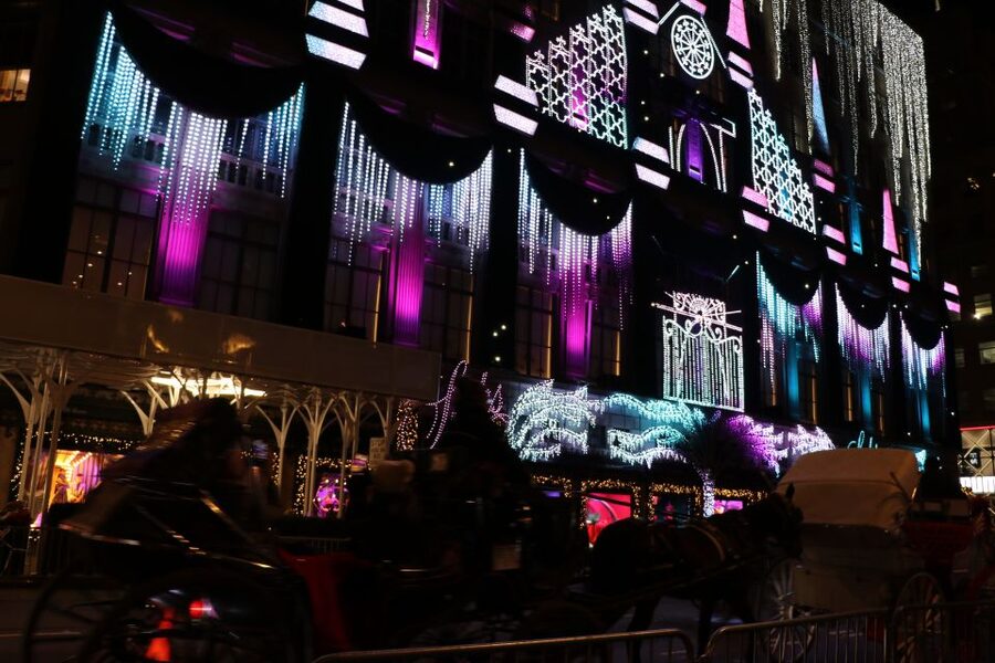NYC: Magical Christmas Lights Carriage Ride - Where You Start: Jose Marti Statue and the 59th Street Angle