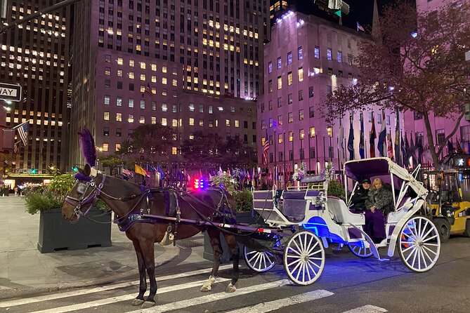 NYC : Magical Christmas Lights Private Horse Carriage Ride - Key Highlights You Can Actually Plan Around