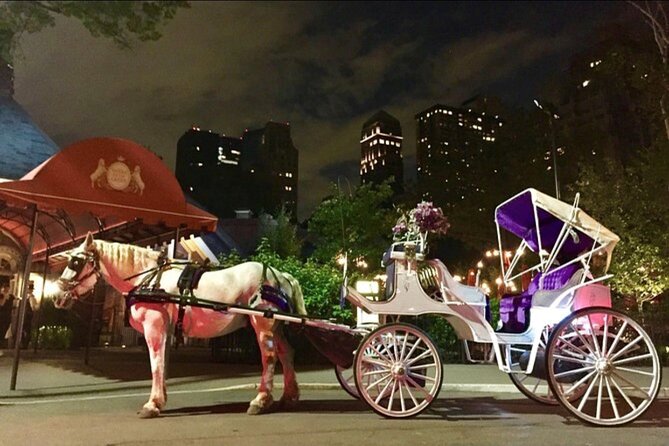 NYC : Magical Christmas Lights Private Horse Carriage Ride - Where the Ride Starts on Central Park South