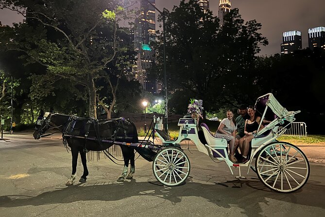 NYC : Magical Christmas Lights Private Horse Carriage Ride - Lighting Up 5th Avenue and Rockefeller Center Glow