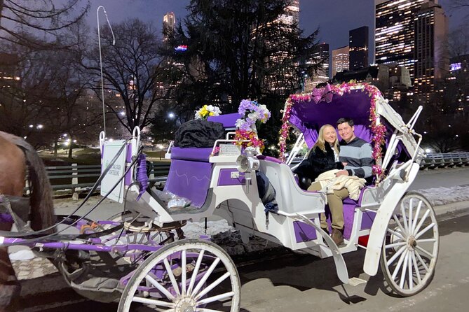 NYC : Magical Christmas Lights Private Horse Carriage Ride - Your Driver and the Horse Factor You Should Not Ignore