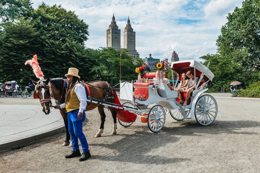 NYC MAGICAL NIGHT TIME RIDE Central Park/Rockefeller Center - Key highlights to know before you go