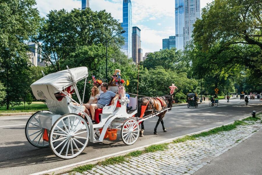 NYC MAGICAL NIGHT TIME RIDE Central Park/Rockefeller Center - Central Park Stops That Set the Stage
