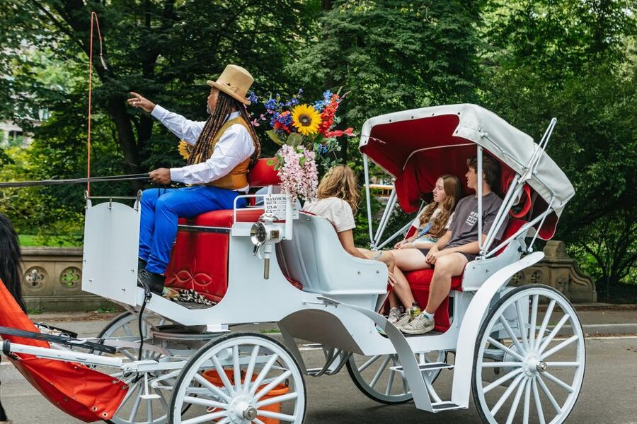 NYC MAGICAL NIGHT TIME RIDE Central Park/Rockefeller Center - Value, Price, and Why Reviews Split