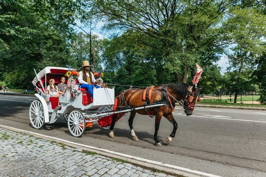 NYC MAGICAL NIGHT TIME RIDE Central Park/Rockefeller Center - How the 45 Minutes Actually Work