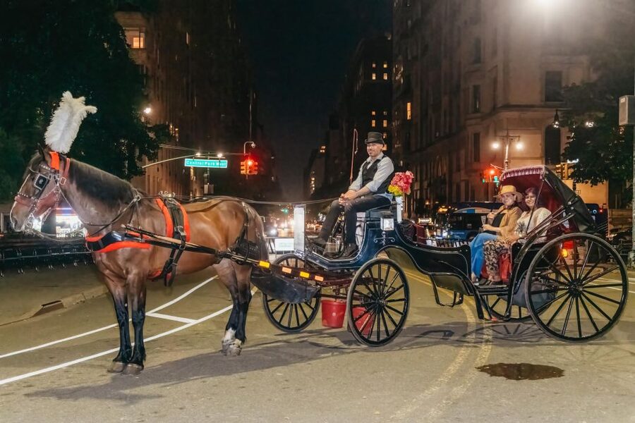NYC MOONLIGHT HORSE CARRIAGE RIDE through Central Park - Key things to know before you go
