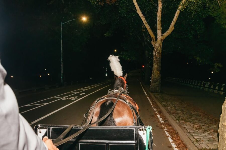 NYC MOONLIGHT HORSE CARRIAGE RIDE through Central Park - FAQ