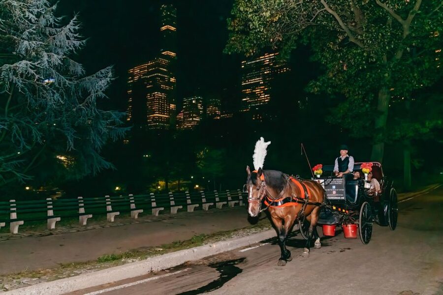 NYC MOONLIGHT HORSE CARRIAGE RIDE through Central Park - Where the ride starts, and how you avoid the chaos