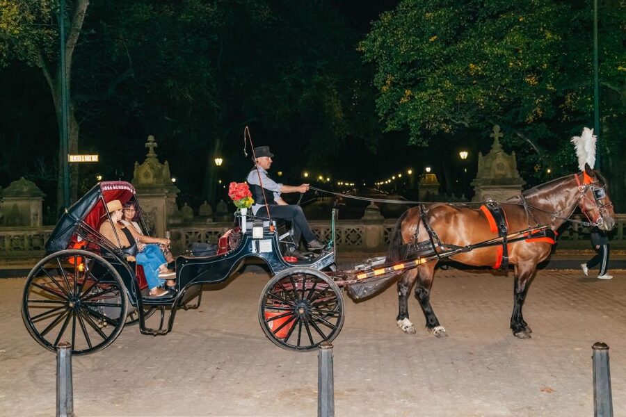 NYC MOONLIGHT HORSE CARRIAGE RIDE through Central Park - Price and value: $190 per group, and what you get for it