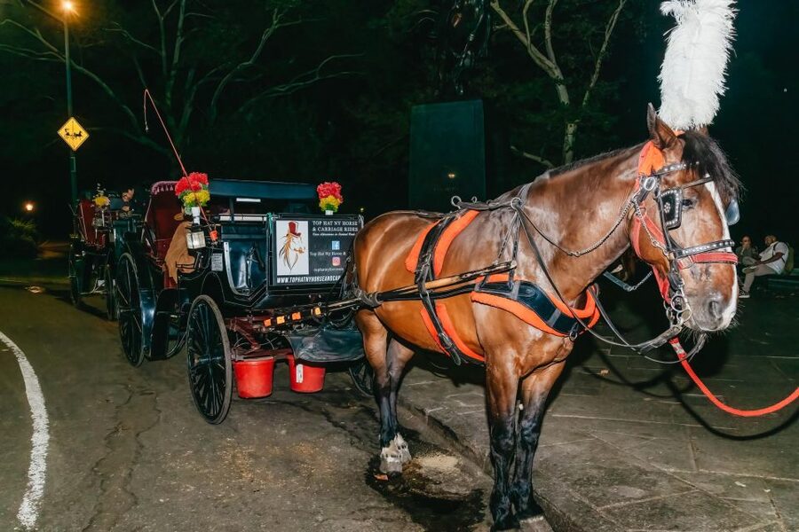 NYC MOONLIGHT HORSE CARRIAGE RIDE through Central Park - Stop-by-stop: what you’ll see on the southeast loop