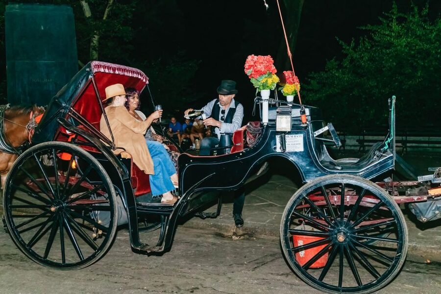 NYC MOONLIGHT HORSE CARRIAGE RIDE through Central Park - Who this carriage ride suits best