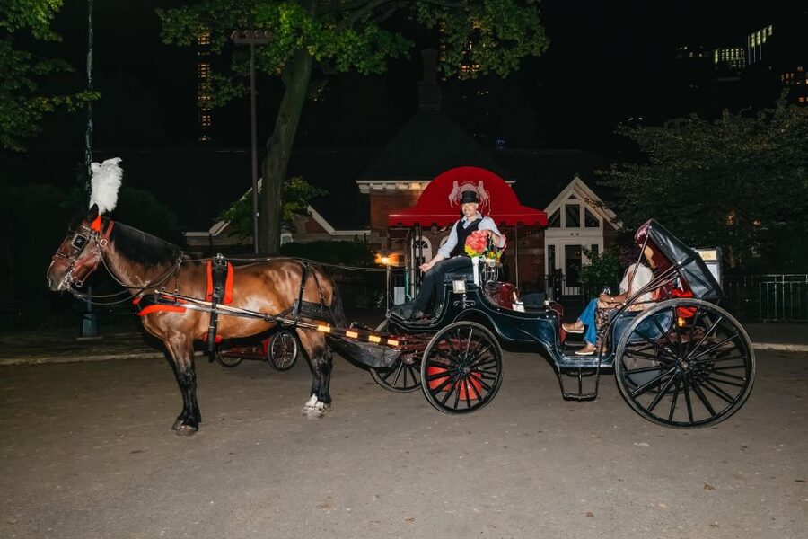 NYC MOONLIGHT HORSE CARRIAGE RIDE through Central Park - Should you book the Top Hat NYC Moonlight Horse Carriage Ride?