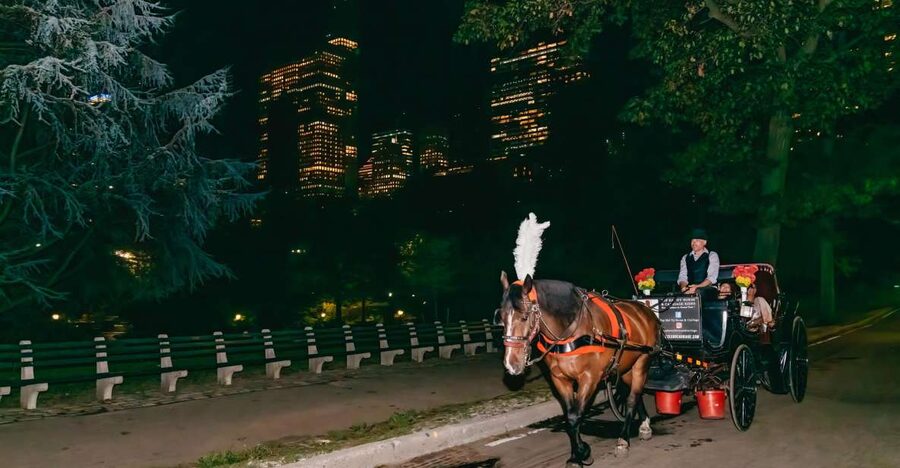 NYC MOONLIGHT HORSE CARRIAGE RIDE through Central Park - The moonlit Central Park experience you’re really paying for