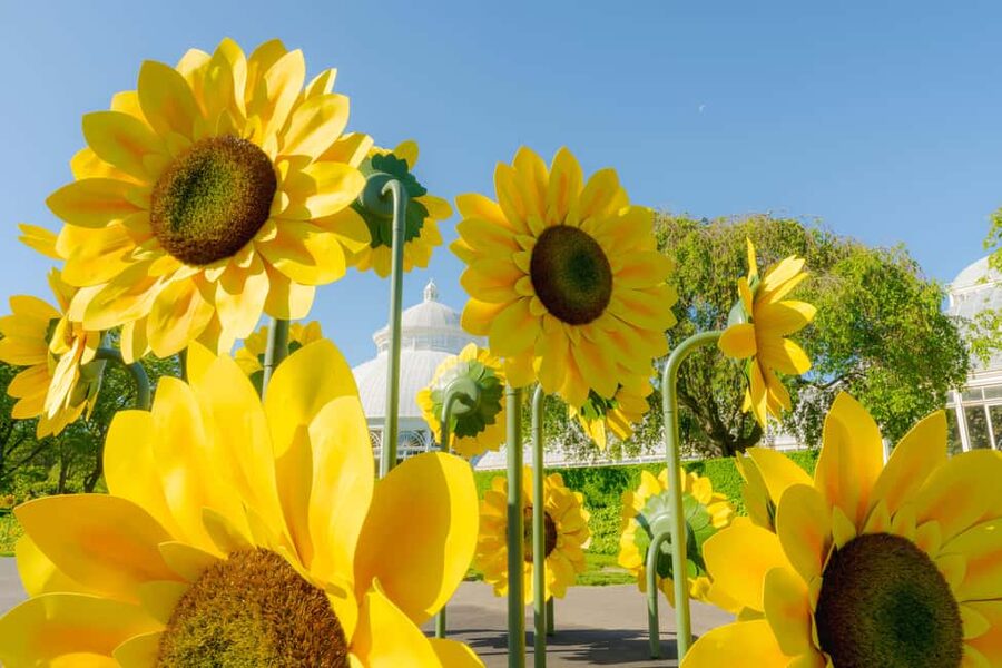 NYC: New York Botanical Garden Pass - NYBG All-Garden Pass, what you really get for $35