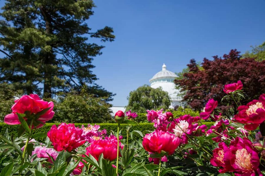 NYC: New York Botanical Garden Pass - Tram tour included, how to use it so you do not lose half your day