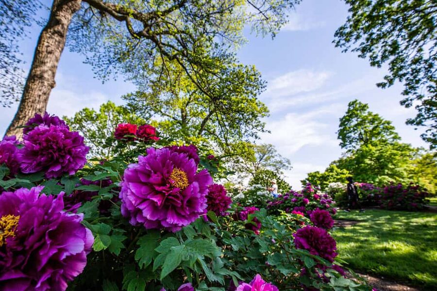 NYC: New York Botanical Garden Pass - Getting there from Grand Central in about 20 minutes