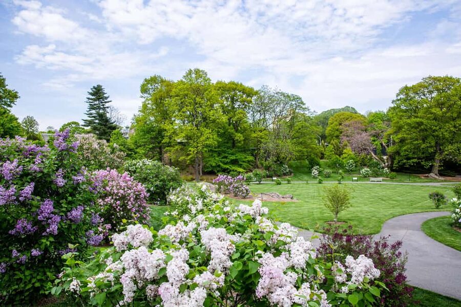 NYC: New York Botanical Garden Pass - What to wear, when to go, and how to keep your feet happy