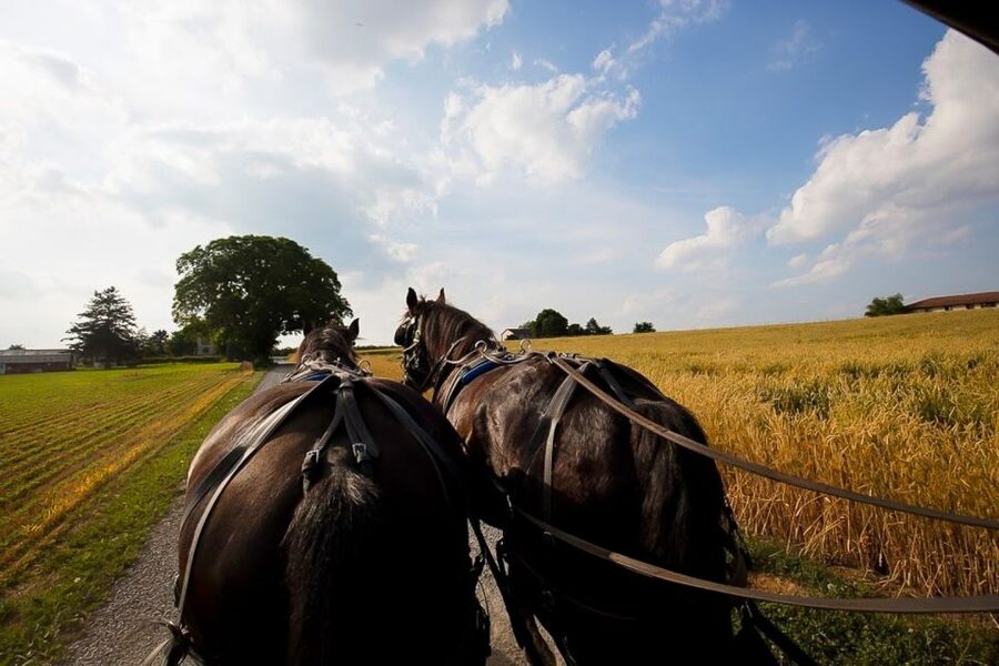 NYC: Philadelphia, Washington DC & Amish Country 2-Day Tour - Where You Start Matters, a Lot