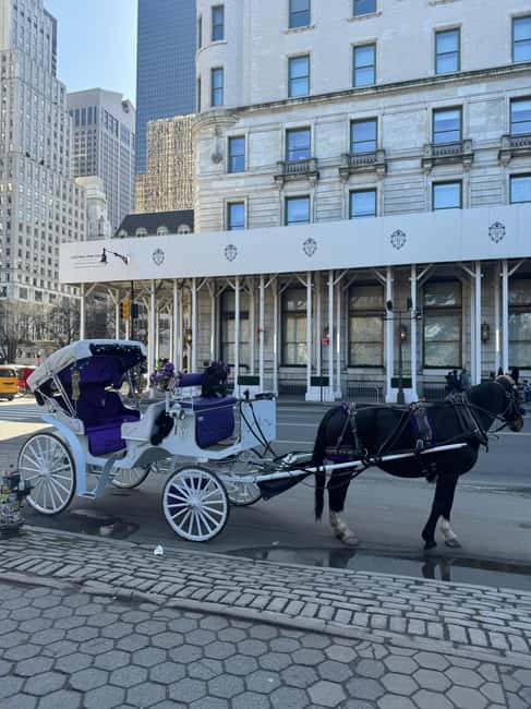 NYC: Private Central Park and NYC City Tour - Meeting at 200 Central Park South, then settling into the ride