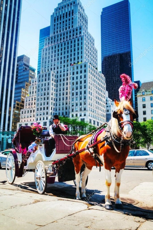 NYC: Private Central Park Horse Carriage Ride with Guide - Key things to know before you go