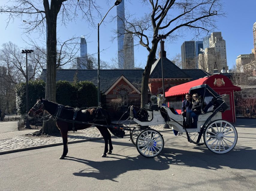 NYC Private Central Park Horse Carriage Ride with Guide - Price and value: what $13 per group up to 4 really means