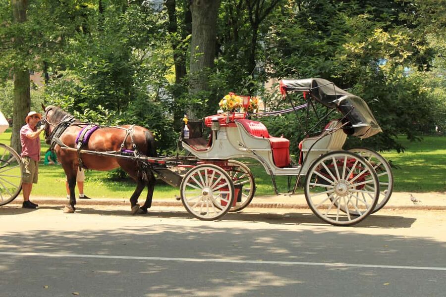 NYC: Private Central Park Horse Carriage Ride with Guide - A short ride that feels like a movie set in Central Park