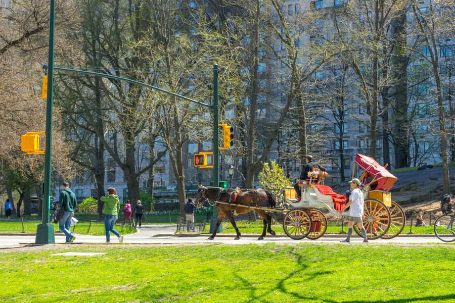 NYC: Private Central Park Horse Carriage Ride with Guide - Central Park landmarks you might see from the carriage seat