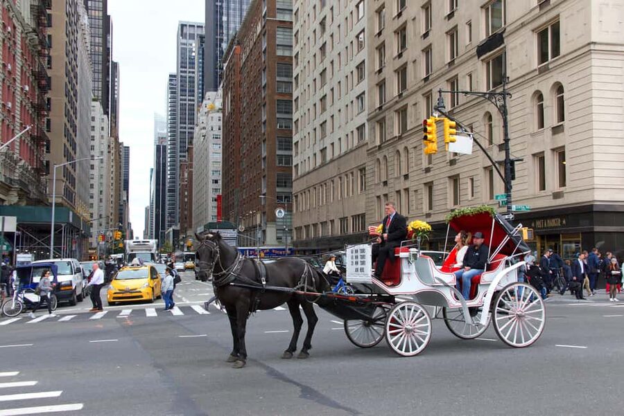 NYC Private Central Park Horse Carriage Ride with Guide - Strawberry Fields and Columbus Circle: connecting the park to the city’s beat