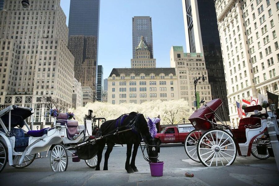 NYC Private Central Park Horse Carriage Ride with Guide - Bow Bridge: the cast iron postcard moment over the lake