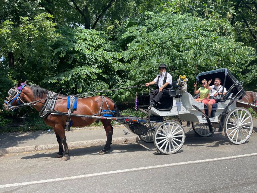 NYC Private Central Park Horse Carriage Ride with Guide - The guide experience, Erdem and Avci, and why “comfort” is part of the value