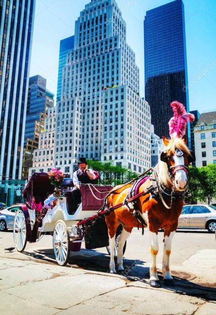 NYC: Private Central Park Horse Carriage Ride with Guide - Meeting at Central Park South, and what 40 to 60 minutes really means