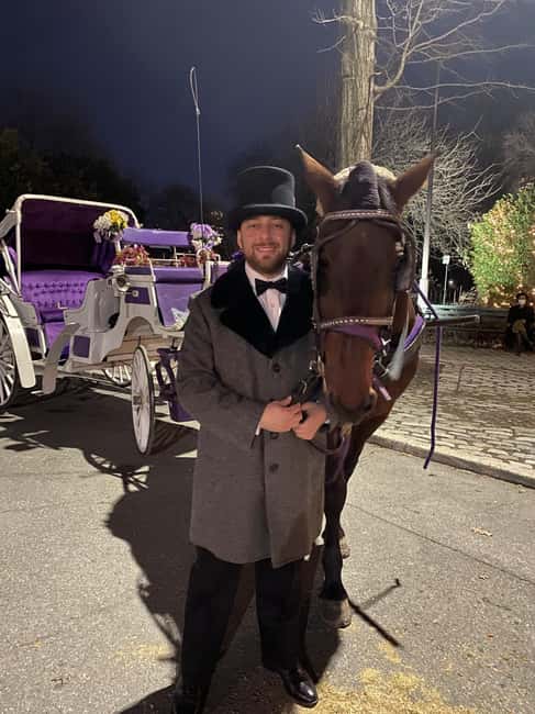NYC: Private Christmas Lights Horse Carriage Ride - Key highlights worth your attention