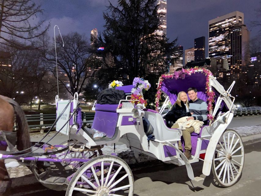 NYC: Private Christmas Lights Horse Carriage Ride - How a 50-minute private carriage ride fits NYC perfectly
