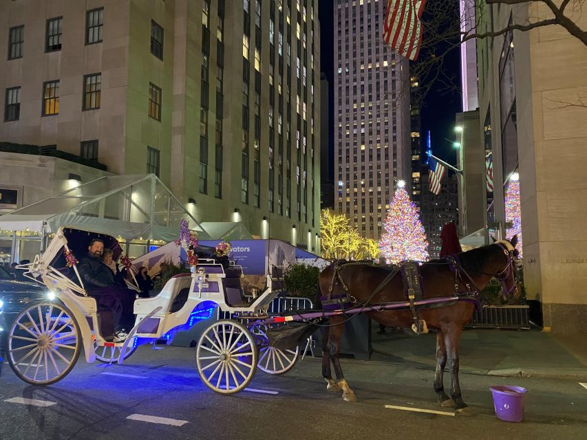 NYC: Private Christmas Lights Horse Carriage Ride - Central Park first, where the nostalgia actually lands