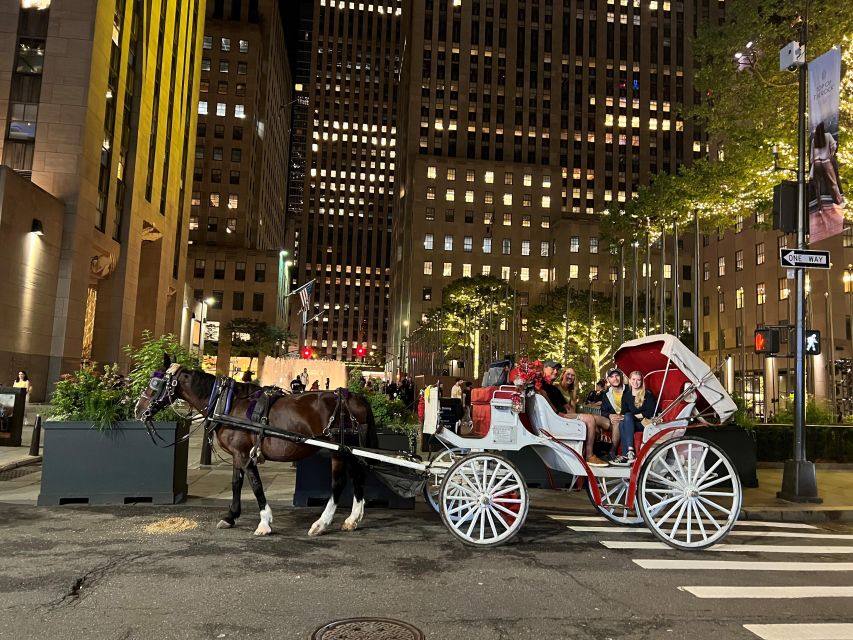 NYC: Private Christmas Lights Horse Carriage Ride - Price and value: $13 per group for up to 4