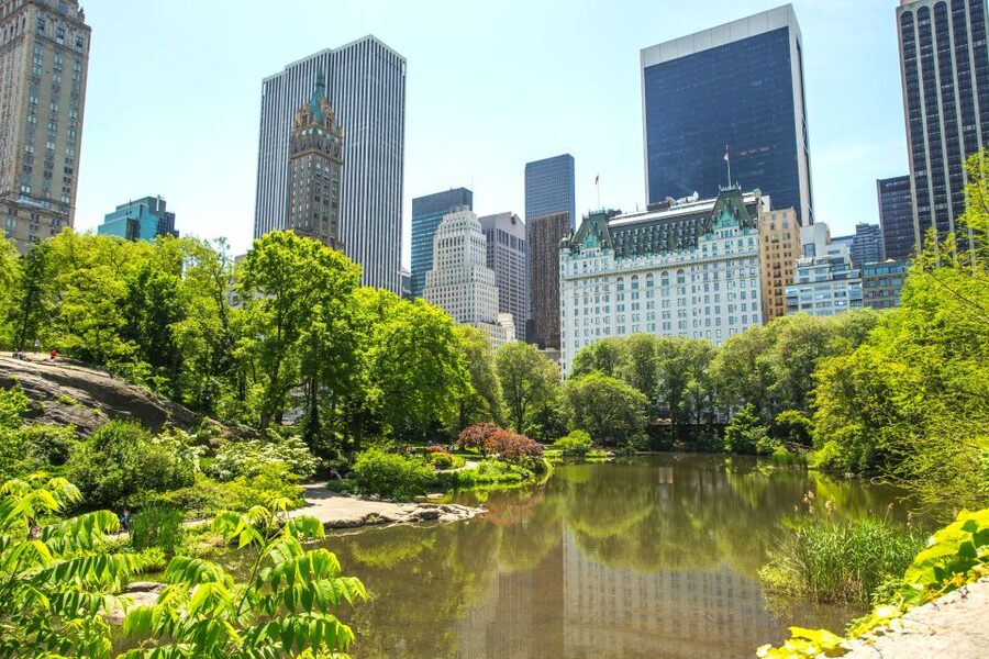 NYC: Private Tour Secrets of Central Park - Key highlights at a glance