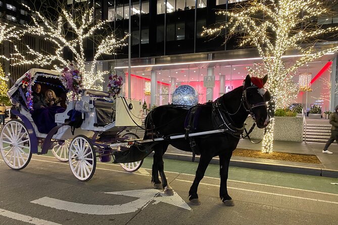 NYC Rockefeller Center Christmas Lights Horse Carriage Ride - Key things that make this ride worth your time