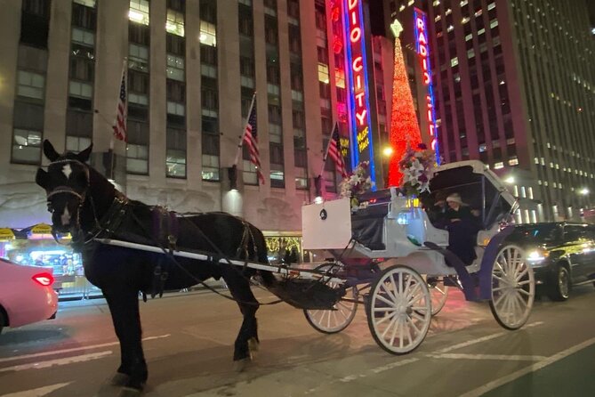 NYC Rockefeller Center Christmas Lights Horse Carriage Ride - Rockefeller Center Christmas tree selfie time, plus a quick in-carriage moment