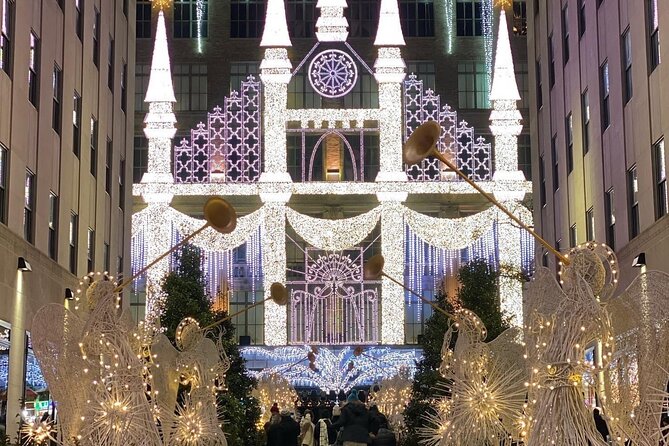 NYC Rockefeller Center Christmas Lights Horse Carriage Ride - Comfort details that matter when it is cold: blankets, carrots, and rain cover