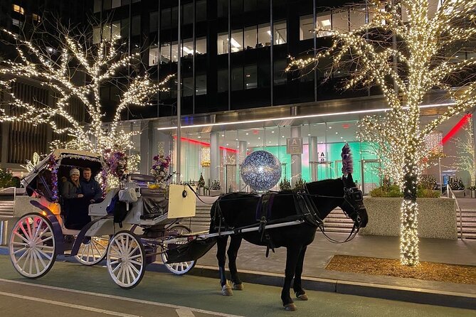 NYC Rockefeller Center Christmas Lights Horse Carriage Ride - Price and value for a private group at $292