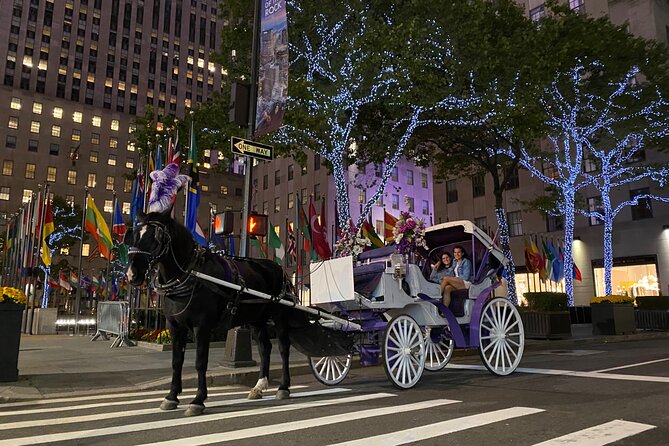 NYC Rockefeller Center Christmas Lights Horse Carriage Ride - Who this is best for, and who might want a different plan
